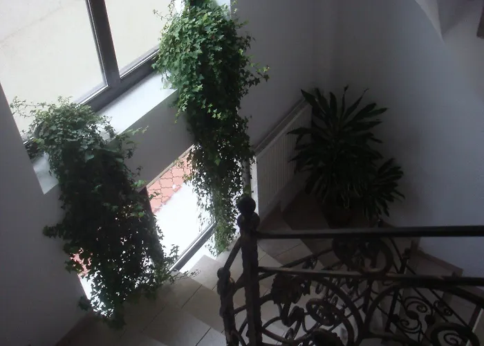 Apartmanhotel Edera - Gazda Profesionista 3*