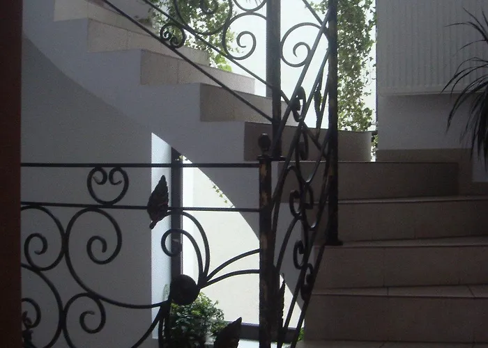 Edera - Gazda Profesionista